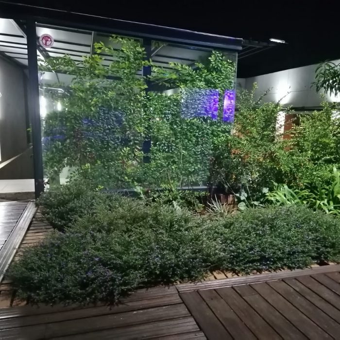 WhatsApp Image 2023-05-04 at 10.07.35 PM (2)